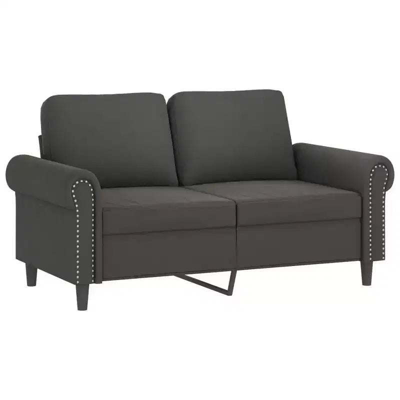vidaXL Modern 2-Seater Sofa in Luxurious Dark Gray Velvet with Sturdy Metal and Plywood Frame  Comfortable, Stylish, and Easy-to-Assemble.