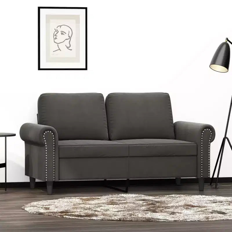 vidaXL Canapé 2 places moderne en velours gris foncé luxueux avec cadre robuste en métal et contreplaqué – Confortable, élégant et facile à assembler.