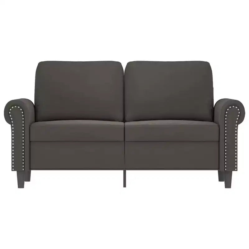 vidaXL Canapé 2 places moderne en velours gris foncé luxueux avec cadre robuste en métal et contreplaqué – Confortable, élégant et facile à assembler.